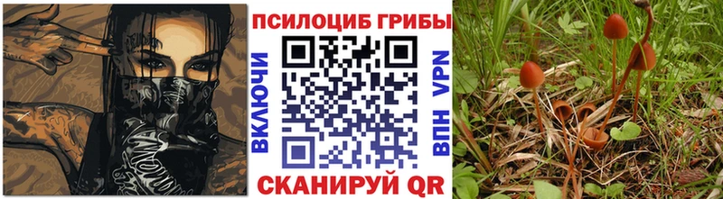 закладка  Заозёрск  даркнет клад  Псилоцибиновые грибы Psilocybine cubensis 